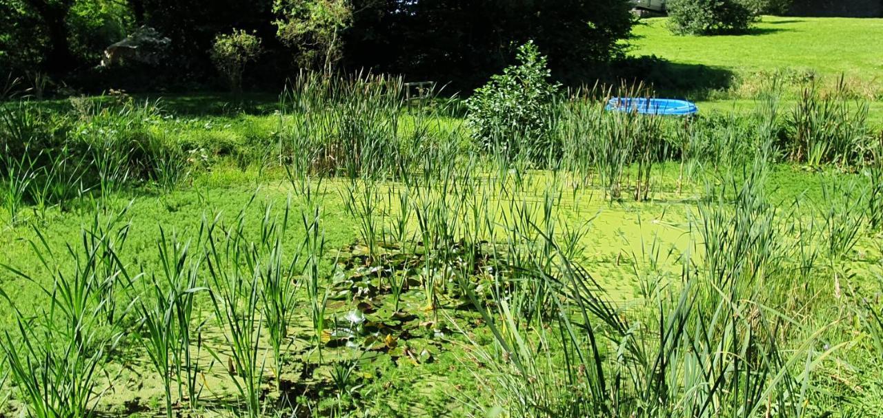 Budget Stay, In Lovely Private Setting With Rustic Charm, Log Burner, Fire Pit, Campers Kitchen & Eco Loo No Bedding Supplied Narberth Exterior photo