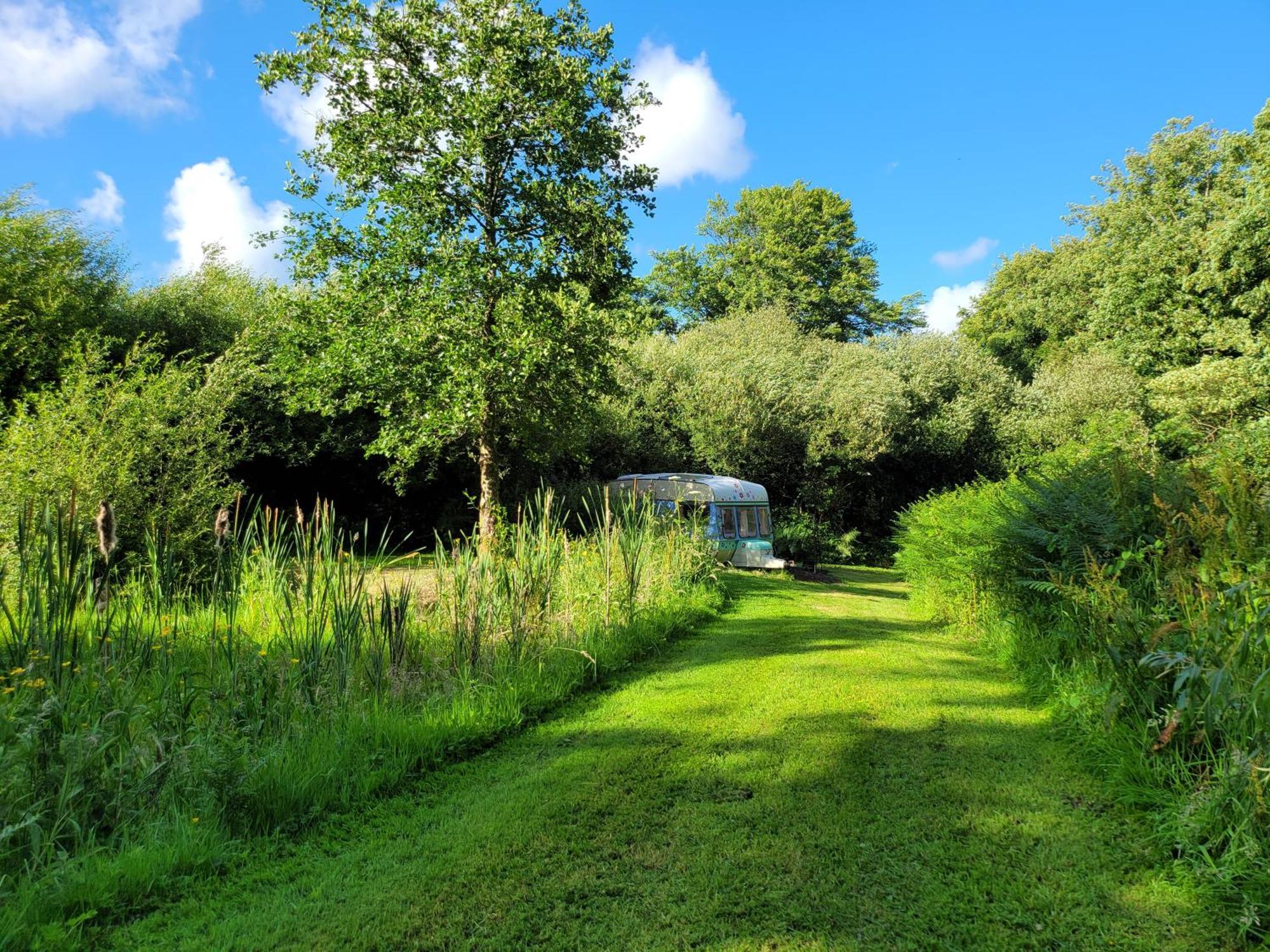 Budget Stay, In Lovely Private Setting With Rustic Charm, Log Burner, Fire Pit, Campers Kitchen & Eco Loo No Bedding Supplied Narberth Exterior photo